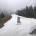 Cliquez pour agrandir l'image de la Webcam ax.ski/20230318171503594.jpg