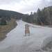 Cliquez pour agrandir l'image de la Webcam ax.ski/20230321081504643.jpg
