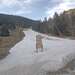 Cliquez pour agrandir l'image de la Webcam ax.ski/20230322081503721.jpg