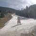 Cliquez pour agrandir l'image de la Webcam ax.ski/20230322151504073.jpg