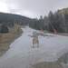 Cliquez pour agrandir l'image de la Webcam ax.ski/20230324081503772.jpg
