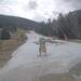 Cliquez pour agrandir l'image de la Webcam ax.ski/20230324131503893.jpg
