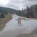 Cliquez pour agrandir l'image de la Webcam ax.ski/20230324151503610.jpg