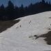 Cliquez pour agrandir l'image de la Webcam ax.ski/20230325131504843.jpg