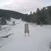 Cliquez pour agrandir l'image de la Webcam ax.ski/20231129081502548.jpg