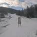 Cliquez pour agrandir l'image de la Webcam ax.ski/20231129101502226.jpg