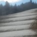 Cliquez pour agrandir l'image de la Webcam ax.ski/20231129101502282.jpg