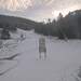 Cliquez pour agrandir l'image de la Webcam ax.ski/20231129151503688.jpg