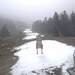 Cliquez pour agrandir l'image de la Webcam ax.ski/20231201081503511.jpg