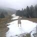 Cliquez pour agrandir l'image de la Webcam ax.ski/20231201101502944.jpg