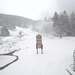 Cliquez pour agrandir l'image de la Webcam ax.ski/20231202131502857.jpg