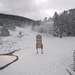 Cliquez pour agrandir l'image de la Webcam ax.ski/20231202171503033.jpg