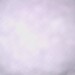 Cliquez pour agrandir l'image de la Webcam ax.ski/20231203101505419.jpg