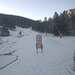 Cliquez pour agrandir l'image de la Webcam ax.ski/20231204101504055.jpg
