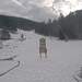 Cliquez pour agrandir l'image de la Webcam ax.ski/20231204151503008.jpg