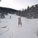 Cliquez pour agrandir l'image de la Webcam ax.ski/20231207081504009.jpg
