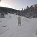 Cliquez pour agrandir l'image de la Webcam ax.ski/20231207101503131.jpg