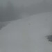 Cliquez pour agrandir l'image de la Webcam ax.ski/20250323151503766.jpg