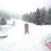 Cliquez pour agrandir l'image de la Webcam ax.ski/20250323171503556.jpg