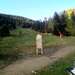 Cliquez pour agrandir l'image de la Webcam ax.ski/20250511081503995.jpg
