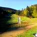 Cliquez pour agrandir l'image de la Webcam ax.ski/20250519081505408.jpg