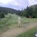 Cliquez pour agrandir l'image de la Webcam ax.ski/20250605081506065.jpg