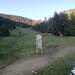 Cliquez pour agrandir l'image de la Webcam ax.ski/20250606081505461.jpg