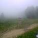 Cliquez pour agrandir l'image de la Webcam ax.ski/20250607131504306.jpg