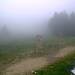 Cliquez pour agrandir l'image de la Webcam ax.ski/20250607171505760.jpg