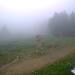 Cliquez pour agrandir l'image de la Webcam ax.ski/20250608081503925.jpg