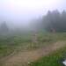 Cliquez pour agrandir l'image de la Webcam ax.ski/20250608131504903.jpg