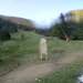 Cliquez pour agrandir l'image de la Webcam ax.ski/20250609081506241.jpg