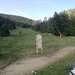 Cliquez pour agrandir l'image de la Webcam ax.ski/20250610081506606.jpg