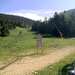 Cliquez pour agrandir l'image de la Webcam ax.ski/20250610171506207.jpg