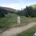Cliquez pour agrandir l'image de la Webcam ax.ski/20250611081506999.jpg