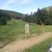 Cliquez pour agrandir l'image de la Webcam ax.ski/20250612081504673.jpg