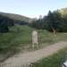 Cliquez pour agrandir l'image de la Webcam ax.ski/20250613081505193.jpg