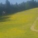 Cliquez pour agrandir l'image de la Webcam ax.ski/20250621081505206.jpg