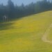 Cliquez pour agrandir l'image de la Webcam ax.ski/20250622081505573.jpg
