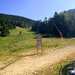 Cliquez pour agrandir l'image de la Webcam ax.ski/20250627171507164.jpg