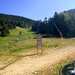 Cliquez pour agrandir l'image de la Webcam ax.ski/20250628171505471.jpg