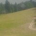 Cliquez pour agrandir l'image de la Webcam ax.ski/20250702171503710.jpg