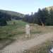 Cliquez pour agrandir l'image de la Webcam ax.ski/20250704081504716.jpg