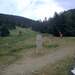 Cliquez pour agrandir l'image de la Webcam ax.ski/20250705171505051.jpg
