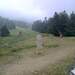 Cliquez pour agrandir l'image de la Webcam ax.ski/20250706171505047.jpg