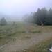 Cliquez pour agrandir l'image de la Webcam ax.ski/20250707171503583.jpg