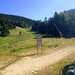 Cliquez pour agrandir l'image de la Webcam ax.ski/20250709171508050.jpg