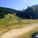 Cliquez pour agrandir l'image de la Webcam ax.ski/20250710171505361.jpg