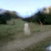Cliquez pour agrandir l'image de la Webcam ax.ski/20250714081503866.jpg