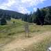 Cliquez pour agrandir l'image de la Webcam ax.ski/20250714131506118.jpg